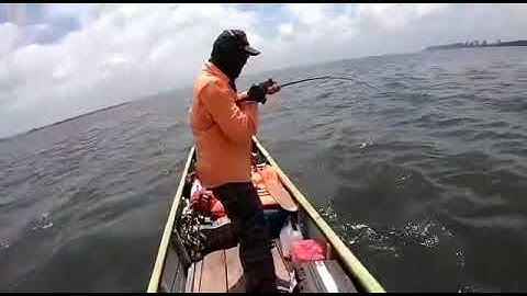 Kaimana Black Bass 22 lb