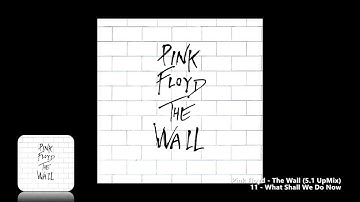 Pink Floyd - 11 - What Shall We Do Now (5.1 UpMix)