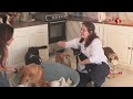 برنامج عشيري الغالي قصة صداقة و محبة و وفاء مدى الحياة بين الإنسان و الحيوان ليوم 20 07 2025 برنامج عشيري الغالي قصة صداقة و محبة و وفاء مدى الحياة بين الإنسان و الحيوان ليوم 20 07 2025