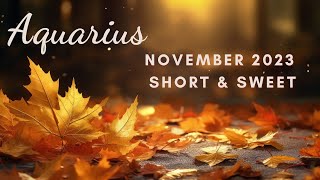 Aquarius Tarot Reading November 2023