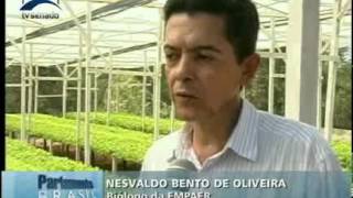 Parlamento Brasil - Programa 51 - Bloco 1