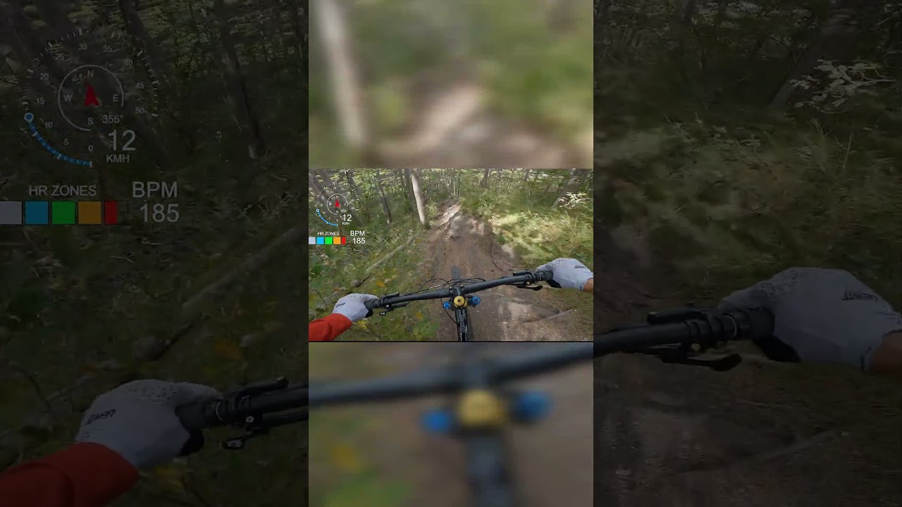 MTB Husarentempel Trail Anninger ⚫ 