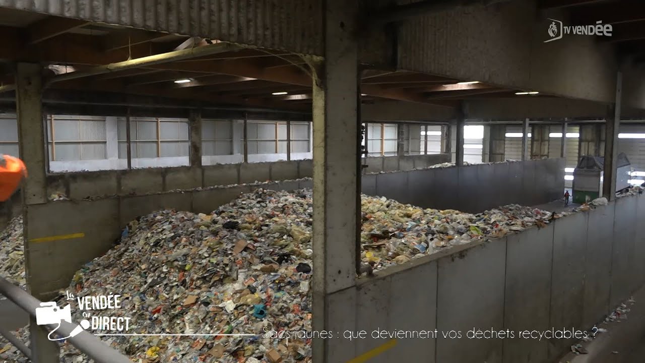 Sacs jaunes : que deviennent vos déchets recyclables ?