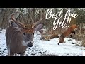Best One Yet!!! Trail Cam Compilation #4
