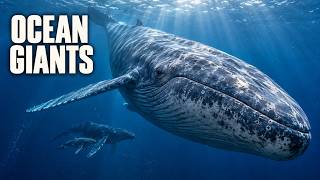The Secret Lives of Ocean Giants | Wildlife Documentary