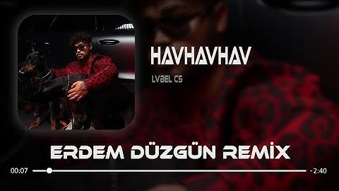 Lvbel C5 - Onlar Arkadan Havlar  ( Erdem Düzgün Remix ) |HAVHAVHAV
