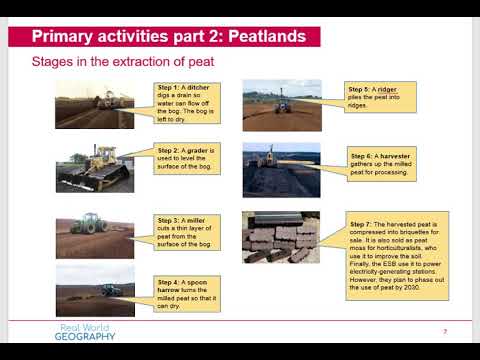 Video: Peat: classification. What is the difference between upland peat and lowland peat?