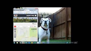 Michael Tritthart Using Wolfnet