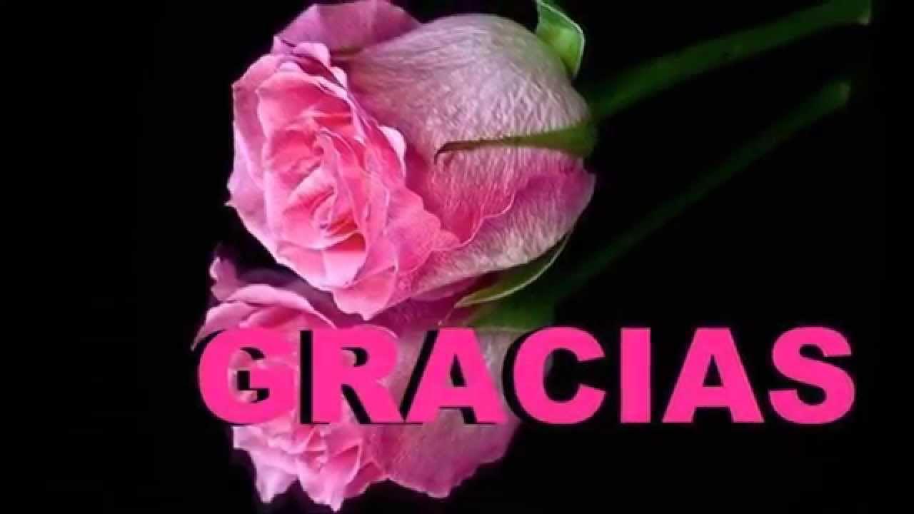 Cómo Es Grande Mi Amor Por Ti Roberto Carlos Cómo Es Grande Mi Amor Por Ti Roberto Carlos