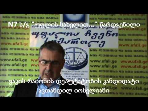 №7 ს/გ \'უფლის სახელით...\' წარდგენილი ავთანდილ იოსელიანის მიმართვა