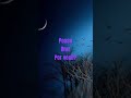 @pingosdesolucoes  #shortsviral2026 #louvores #musicagospel #leiabiblia #oração #fé #biblia #leitura