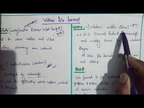 वीडियो फ़ाइल प्रारूप || मल्टीमीडिया में फाइल फॉर्मेट || फाइल फॉर्मेट के प्रकार हिंदी में