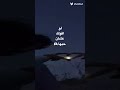 تصميم على اغنية تبقى الوحيد الي اخذ قلبها