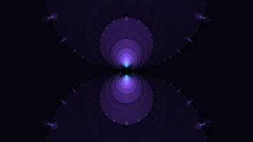 The Inverted Newton Fractal