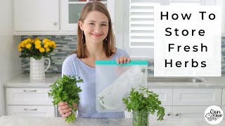 How To Store Fresh Herbs