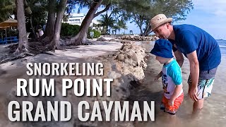 Snorkeling GRAND CAYMAN ISLAND Rum Point [4K]