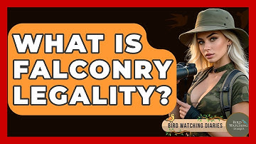What Is Falconry Legality? - Bird Watching Diaries