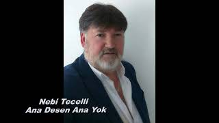 Nebi̇ Tecelli̇ Ana Desen Ana Yok