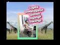 Lukonga Mwanaganja Ft Lugola Mwaganja Ujumbe Wa Mganga Lukonga 
