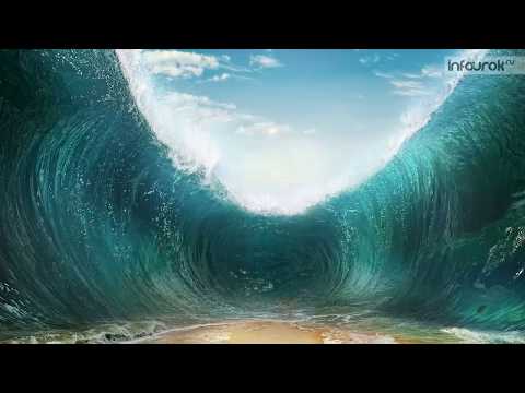 Цунами, их характеристика. Защита населения от цунами.