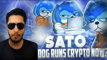 Best Crypto Project ⚡ SATO THE DOG⚡ THE DOG OF BASE ⚡ NFT