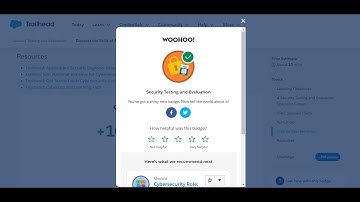 Security Testing and Evaluation | Trailhead Salesforce