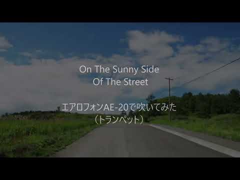 エアロフォンAE20で吹いてみた　on the sunny side～