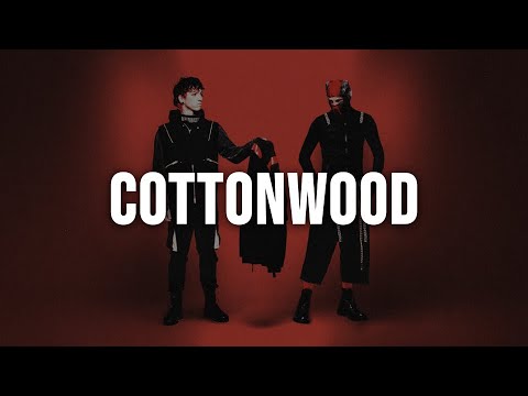 Twenty One Pilots - Cottonwood [Lyrics]