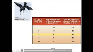 BIO1 Online | Chapter 36: Animal Behavior