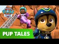 PAW Patrol | Pups Save the Skydivers | Rescue Episode | PAW Patrol Official & Friends!