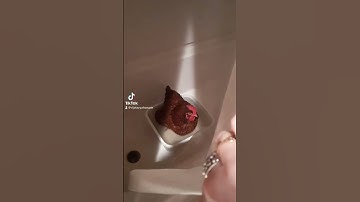 Thumbnail of Psycho Shower Scene