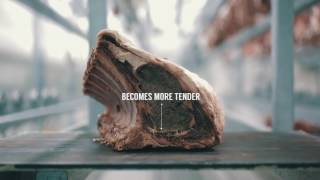 100 DAY Beef Dry Ageing Time Lapse
