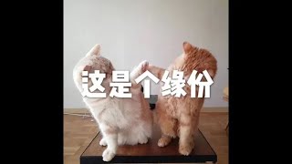 201703 这是个缘份22317