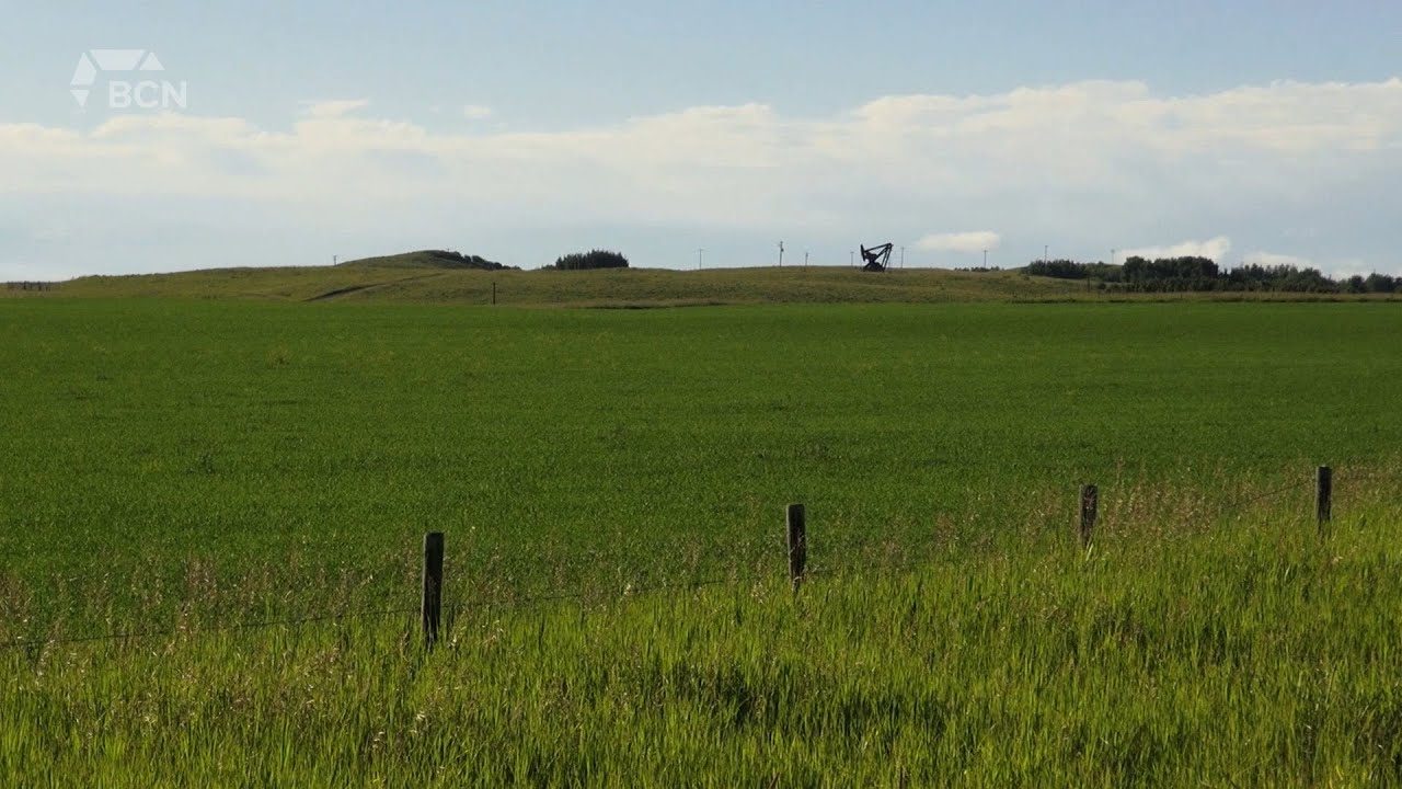 Southern Alberta ahead on crop seeding, soil moisture improves | May 26 ...