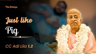 Just like PIG | Srila Prabhupada | CC Adi Lila 1.2