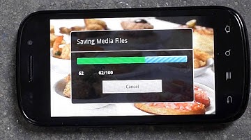 LifeVibes MediaArtist Demo