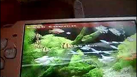 How to put Iso/Cso onto PSP Custom Firmware