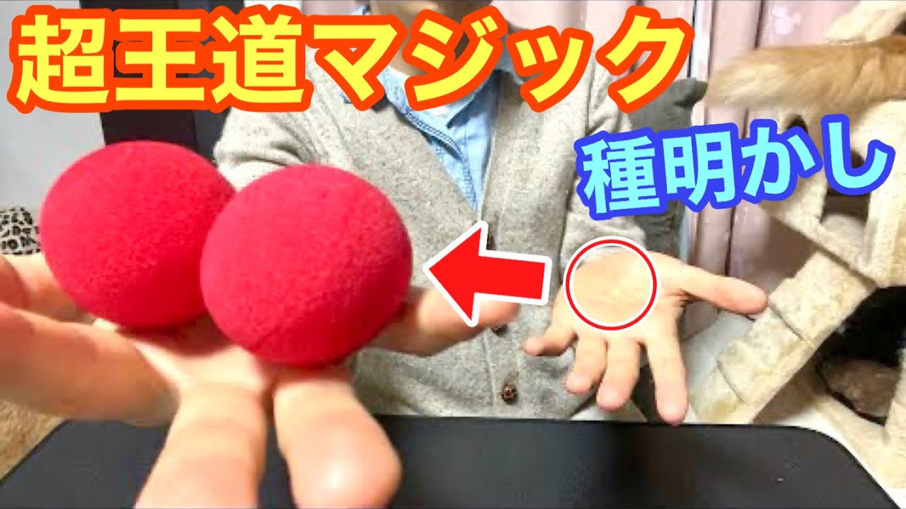 【種明かし】スポンジボールのプロのルーティン