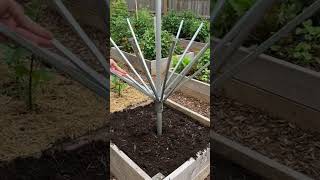 STOP throwing away broken patio umbrellas… RV life just found its smartest garden hack