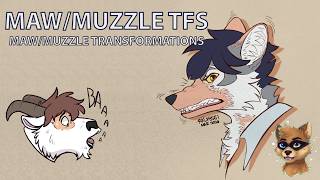Maw & Muzzle TFs / Maw & Muzzle Transformations