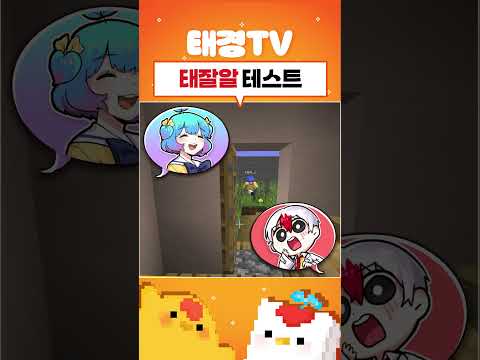 태잘알 테스트!!!