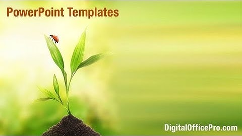 Ladybug on Plant PowerPoint Template Backgrounds - DigitalOfficePro #06797W