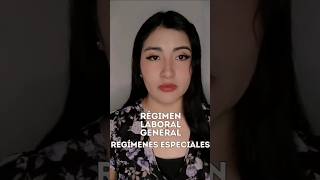 cules Son Los Regmenes Laborales En El Per business laboral