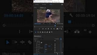 How To Use Magnify Effect In Premiere Pro #Shorts