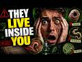 The Most Dangerous Parasites Explained