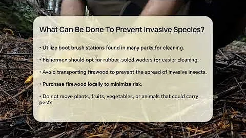 What Can Be Done To Prevent Invasive Species? - Ecosystem Essentials