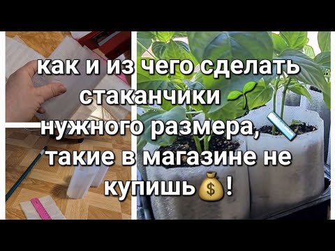 Как и из чего сделать стаканчики для рассады нужного размера.
