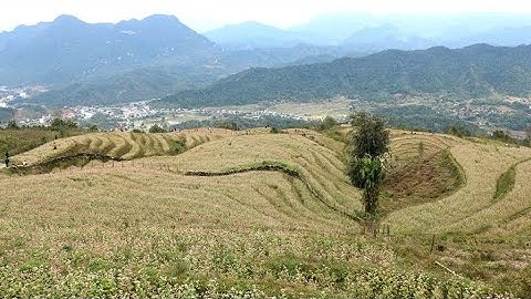 Phim ngắn Chiếc lược ngà " Nguyễn Quang Sáng "chuyển thể từ tác phẩm văn học. Do lớp 12A2 quay film🌹