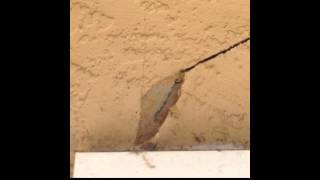 How To Repair A Stucco Crack