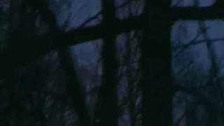 Cache River Duck hunt 2010